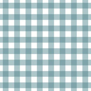 Half inch blue gingham