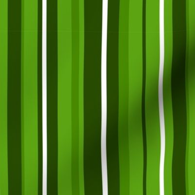 Stripes - Green and White