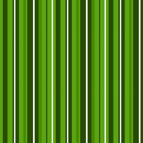 Stripes - Green and White