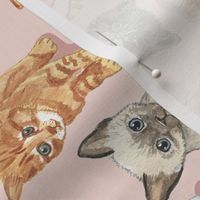 soft kitty watercolor  peach tea towel