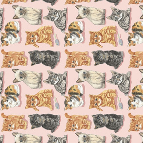 soft kitty watercolor  peach tea towel