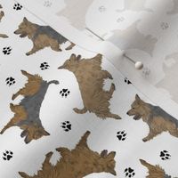 Tiny Trotting Australian Terriers and paw prints - white