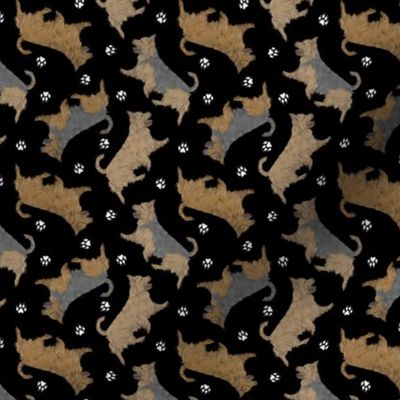 Tiny Trotting undocked Australian Terriers and paw prints - black