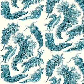 Ernst Haeckel Nudibranchia Nudibranch Sea Slug Cyanotype