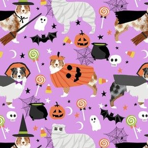 aussie dog halloween fabric - australian shepherd dog fabric,  australian shepherd halloween costume - blue and red merle -  lavender