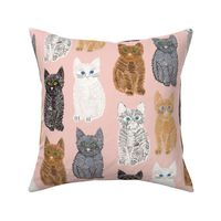 Scribble Kittens - Pink - Large