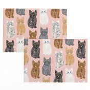 Scribble Kittens - Pink - Large