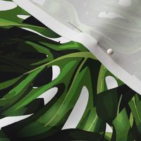 Bohemian Paradise-monstera leaves on white- Regular Scale