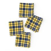 Blue Yellow and White Plaid