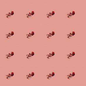 Pink Pomegranate 