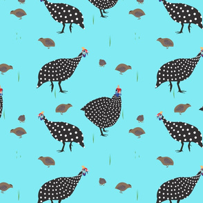 guinea fowl-01