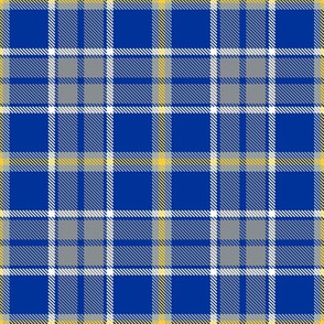 Blue Silver Gold Black Plaid