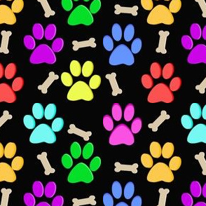 Dog Paw Prints Feet Paws and Bones Rainbow Colors on Black