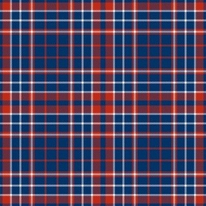 Patriotic Plaid Blue Red and White America
