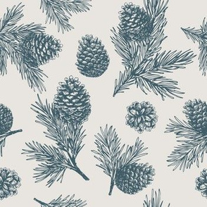 Pine cones