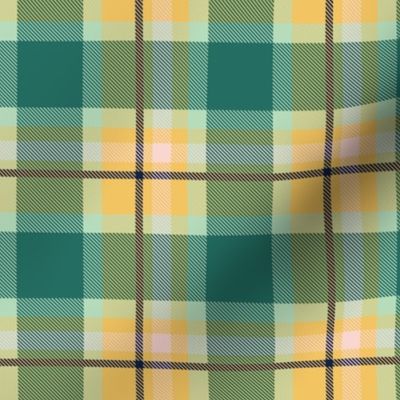 Blue and Yellow Plaid V.02