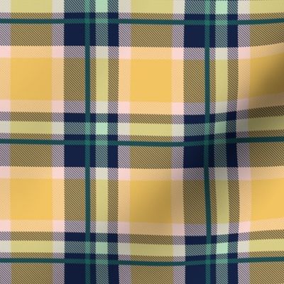 Blue and Yellow Plaid V.04