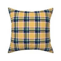 Blue and Yellow Plaid V.04