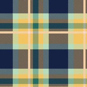 Blue and Yellow Plaid V.05