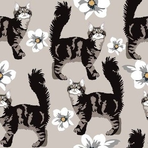 Gray Tabby Cat and White Magnolia flowers Large Print- Cat Fabric cute kitten kitty 