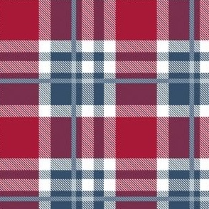 HotPink and Pale Blue Plaid V.08