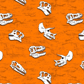 dinosaur fossils on orange