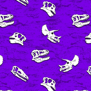 dinosaur fossils on purple