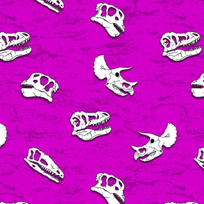dinosaur fossils on light purple