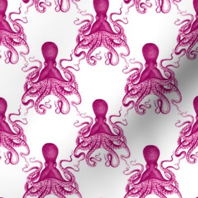 2.5" octopus verrucosus pink