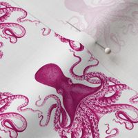 2.5" octopus verrucosus pink