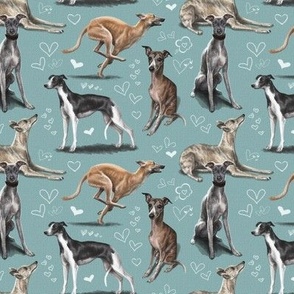 The Whippet