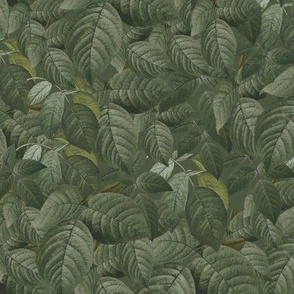 Green Leaves