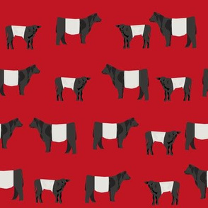 belted galloway fabric, belted galloway cow, cow fabric, cattle fabric, farm fabric, farm animals fabric, farm fabric by the yard, farm animals - red