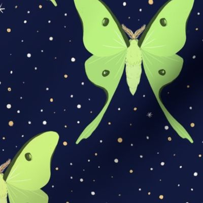 Midnight Luna Moths