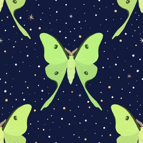 Midnight Luna Moths