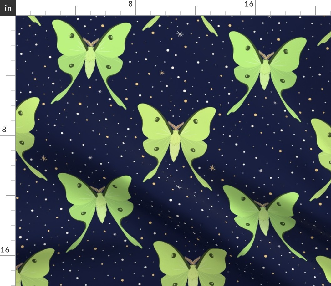 Midnight Luna Moths