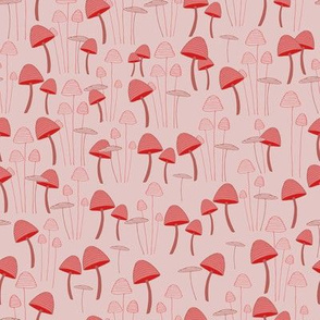 Mushroom Pink 