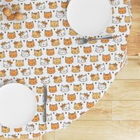 Orange Cat Cats  Faces with Bows and Hearts