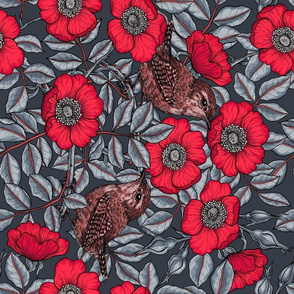 Wrens in the red roses