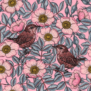 Wrens in the roses in pink