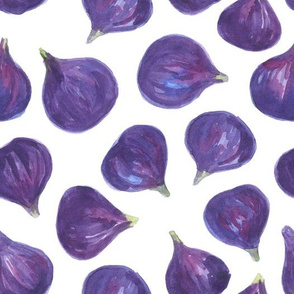 Watercolor figs pattern