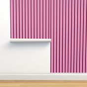 Hot Pink Stripes