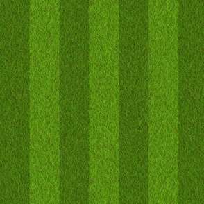 Mowed Lawn Stripes
