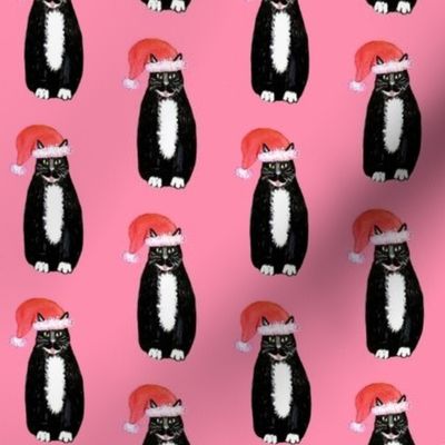 Cat  wearing Christmas hat " Santa Claws "Kitty Christmas pink