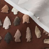 Arrowheads, Brown background