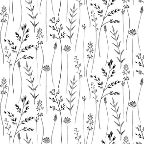 Botanical Grass Sketches in Black on White