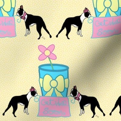  Boston Terrier Get Well Wishes