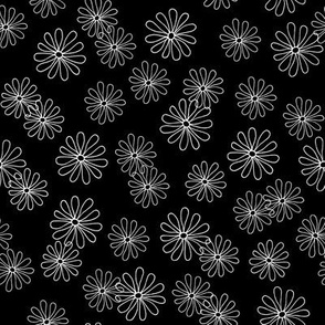 Daisies on Black