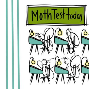 Moth Test Today