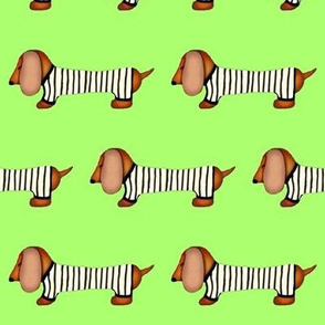  Dachshund in Stripes on bright green / Dog Print   